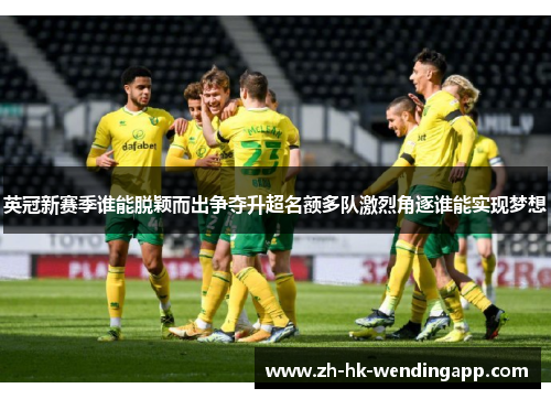 英冠新赛季谁能脱颖而出争夺升超名额多队激烈角逐谁能实现梦想