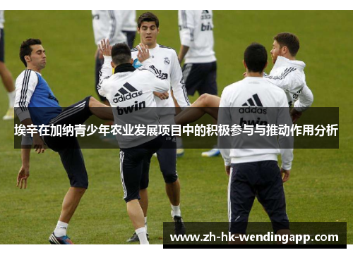 埃辛在加纳青少年农业发展项目中的积极参与与推动作用分析