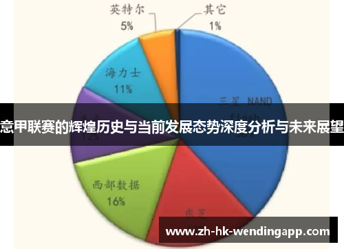 意甲联赛的辉煌历史与当前发展态势深度分析与未来展望