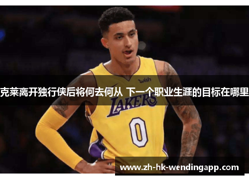 克莱离开独行侠后将何去何从 下一个职业生涯的目标在哪里