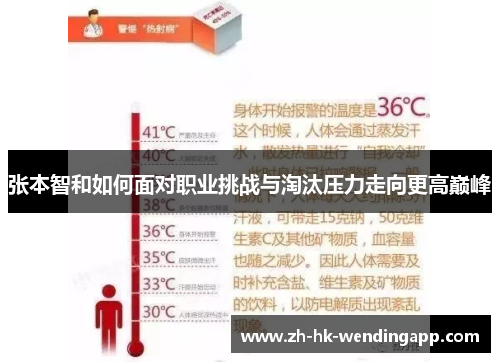 张本智和如何面对职业挑战与淘汰压力走向更高巅峰