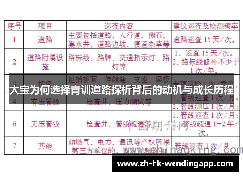 大宝为何选择青训道路探析背后的动机与成长历程