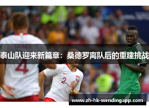 泰山队迎来新篇章：桑德罗离队后的重建挑战