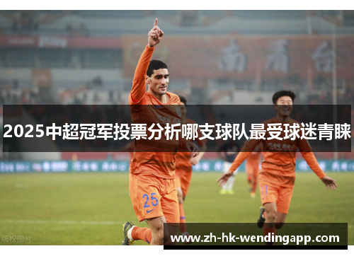 2025中超冠军投票分析哪支球队最受球迷青睐
