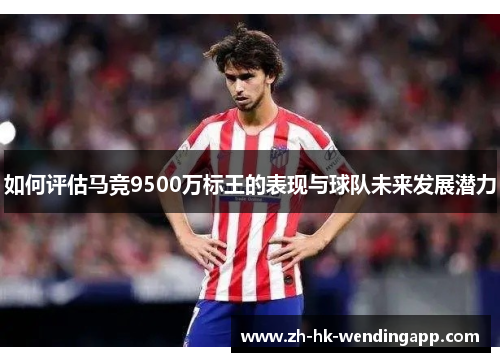 如何评估马竞9500万标王的表现与球队未来发展潜力