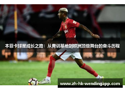 本菲卡球星成长之路：从青训基地到欧洲顶级舞台的奋斗历程
