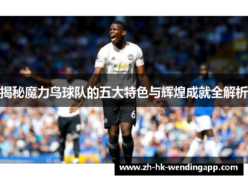 揭秘魔力鸟球队的五大特色与辉煌成就全解析
