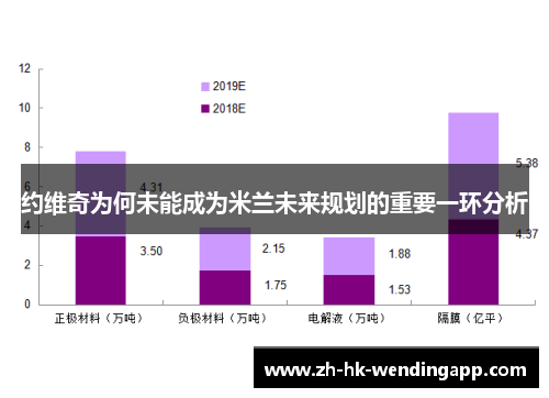 约维奇为何未能成为米兰未来规划的重要一环分析