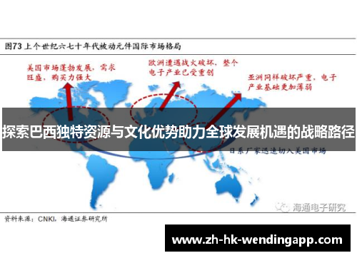 探索巴西独特资源与文化优势助力全球发展机遇的战略路径