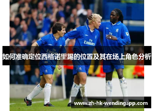如何准确定位西格诺里踢的位置及其在场上角色分析