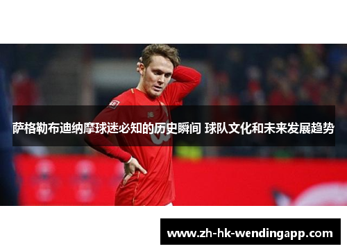 萨格勒布迪纳摩球迷必知的历史瞬间 球队文化和未来发展趋势