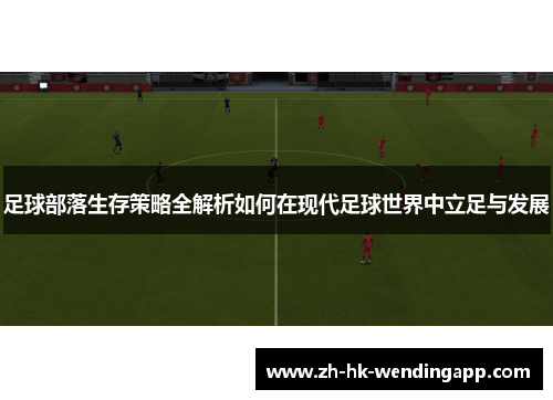 足球部落生存策略全解析如何在现代足球世界中立足与发展