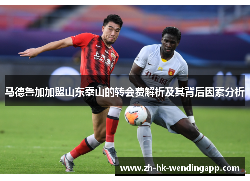 马德鲁加加盟山东泰山的转会费解析及其背后因素分析